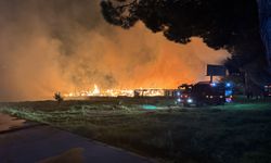 İzmir'de çöp depolama alanında çıkan yangına müdahale ediliyor