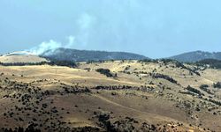 Kars'ta ormanda çıkan örtü yangınında yaklaşık 1,5 hektar alan zarar gördü