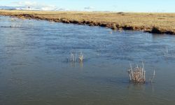 Kars'ta soğuk hava ve kırağı etkili oldu