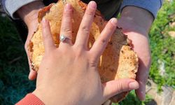 Kaş'ta ormanlık alandan toplanan mantar geçim kapısı oldu