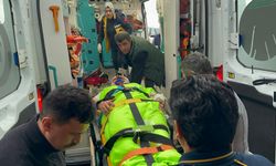 Kastamonu'da mantar toplarken ayı saldırısına uğrayan köy imamı yaralandı