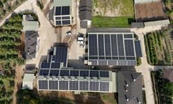 Kırklareli'nde kıraç alanda ceviz üretimine başlayan işletme elektriğini güneşten karşılıyor