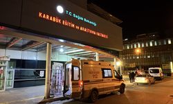 Köpeği tabancayla korkutmak isteyen muhtar kazara başka bir muhtarı yaraladı