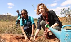 Madagaskar'da Milli Ağaçlandırma Günü'nde fidanlar toprakla buluşturuldu