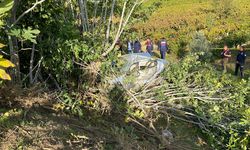 Manisa'da devrilen otomobilin sürücüsü öldü
