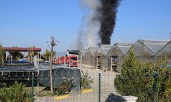 Manisa'da serada çıkan yangın söndürüldü