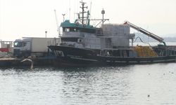 Marmara Denizi'ndeki bolluk balıkçıları Tekirdağ açıklarına çekti