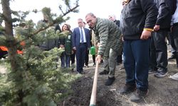Milli Ağaçlandırma Günü'nde Erzurum ve çevre illerde fidanlar toprakla buluşturuldu
