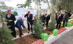 Muğla'da görev yapan 16 bin 453 öğretmen adına fidan dikildi