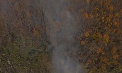 Ordu'da çıkan örtü yangını kontrol altına alındı