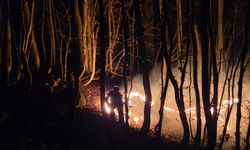 Ordu'da çıkan örtü yangınına müdahale ediliyor