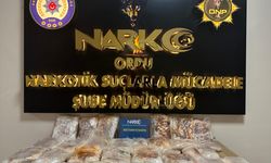 Ordu'da otomobilin kapılarına gizlenmiş 25 kilo 200 gram sentetik uyuşturucu ele geçirildi