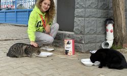 Pelin öğretmen 11 yıldır 'çocuklarım' dediği kedileri besliyor