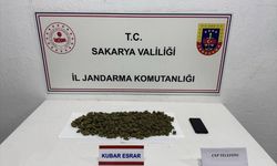 Sakarya'da evde kenevir yetiştiren ve uyuşturucuyla yakalanan 2 şüpheli tutuklandı