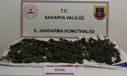 Sakarya'da evinde 2 kilogram sentetik uyuşturucuyla yakalanan şüpheli tutuklandı