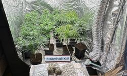 Sakarya'da uyuşturucu operasyonunda yakalanan 5 zanlı tutuklandı