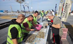 Samsun'da düzenlenen festivalde 3 ton hamsi 2 saatte tüketildi