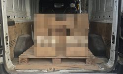 Samsun'da sahte kuru kahve ele geçirildi, 1 zanlı yakalandı