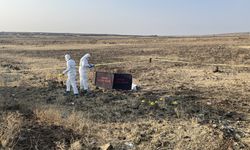 Şanlıurfa'da yol kenarında erkek cesedi bulundu