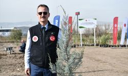 Savunma Sanayii Başkanlığı ağaç dikim etkinliği gerçekleştirdi