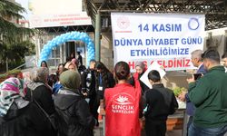 Siirt'te diyabet hastası çocuklar ve ailelerine yönelik eğitim kampı düzenlendi