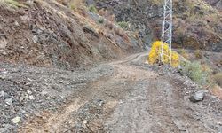 Siirt'te heyelandan kapanan köy yolu ulaşıma açıldı