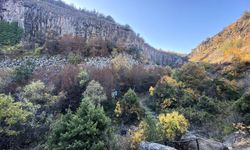 Sinop'ta milyon yıllık bazalt kayalıkları sonbahar renklerine büründü