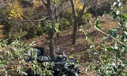 Sivas'ta ATV'nin devrildiği kazada 1 kişi öldü