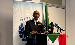 Sudanlı Büyükelçi, Hızlı Destek Kuvvetleri'nin Faşir'de 'soykırım' gerçekleştirdiğini söyledi