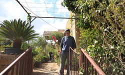 Suriyeli koleksiyoner Receb, evinde binlerce bitki türü yetiştiriyor