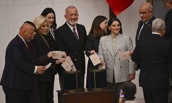 TBMM Genel Kurulunda HSK üyeliğine Havvanur Yurtsever yeniden seçildi