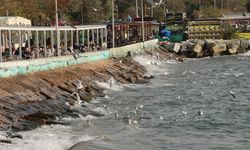 Tekirdağ'da balıkçılar lodos nedeniyle denize açılamadı