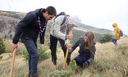 TİKA'dan Bosna Hersek'te ağaçlandırma çalışmalarına destek