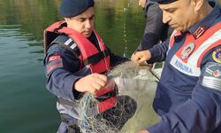 Tokat'ta kaçak avlanan 2 kişiye 64 bin lira para cezası kesildi