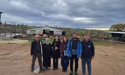 Trakya peynir mirası kayıt altına alınıyor