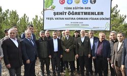 Türk Eğitim-Sen şehit öğretmenlerin anısına hatıra ormanına fidan dikti