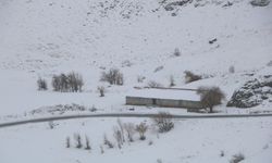Van, Bitlis ve Hakkari'ye kar yağdı