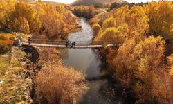 Van'daki İnci Kefali Tabiat Parkı sonbahar renklerine büründü