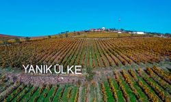 Yanık Ülke'de sonbahar renkleri