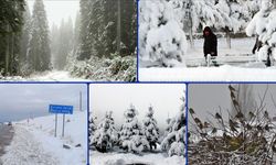 Yurdun bazı kesimlerinde kar yağışı ve soğuk hava etkili oluyor