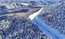 Ordu'nun yüksek kesimlerinde etkili olan kar yağışıyla beyaza bürünen Çambaşı Yaylası, güzel görüntü oluşturdu. Hayati