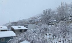 Şırnak Kışa Teslim Oldu: Kar Kalınlığı 1 Metreyi Geçti