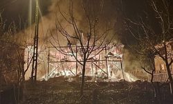 Adana'da evde çıkan ve okul lojmanına sıçrayan yangın söndürüldü