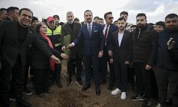 AK Parti tarafından 'Türk Dünyası Hatıra Ormanı' oluşturuldu