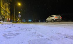 Ardahan merkezinde kar yağışı etkili oldu