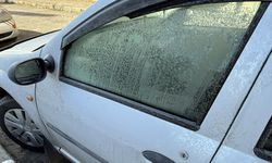 Ardahan'da soğuk hava etkili oluyor