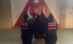 Balıkesir'de bahçeden zeytin çalan 2 kişi tutuklandı