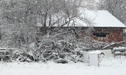 Bilecik'in Pazaryeri ilçesinde taşımalı eğitime 1 gün ara verildi