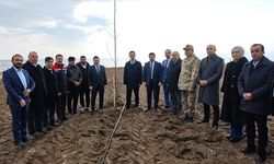 Bitlis'te çiftçilere 12 bin sertifikalı ceviz fidanı dağıtımına başlandı