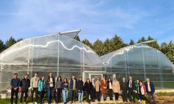 Bursa'da güneşten güç alan sera projesi hayata geçirildi